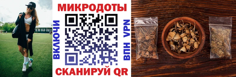 Псилоцибиновые грибы Psilocybine cubensis  Монино 