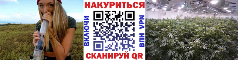 Каннабис конопля  Монино 